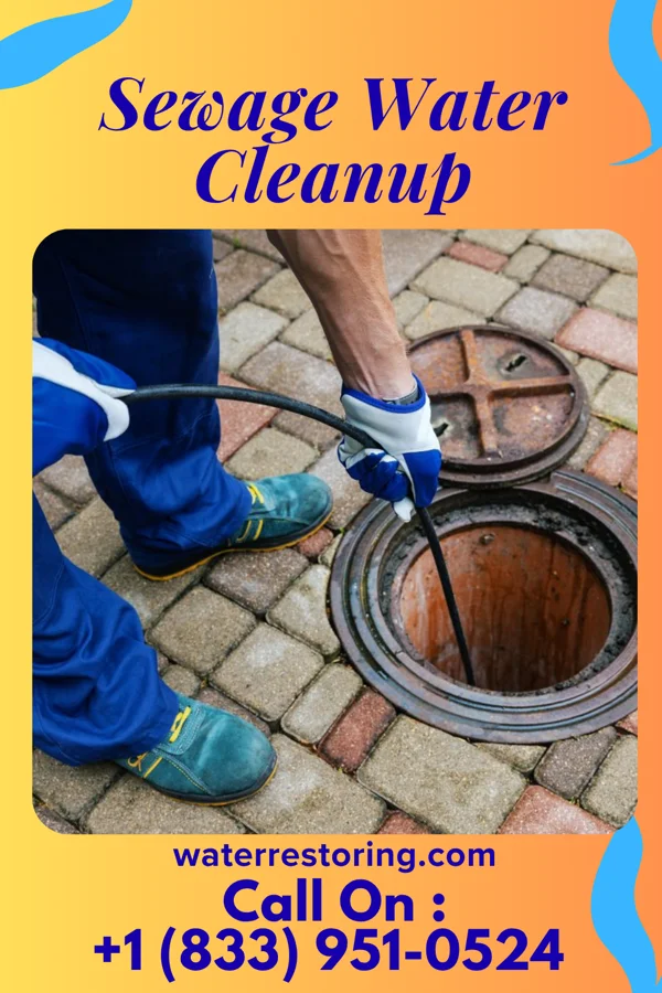 Sewage Water Cleanup in DeWitt, AR